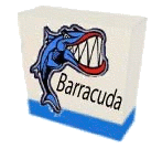 Barracuda