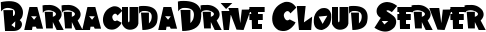 BarracudaDrive Application Server